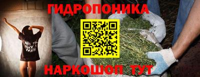 шишки Гусь-Хрустальный