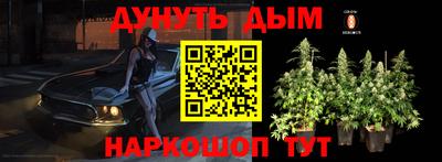 шишки Гусь-Хрустальный