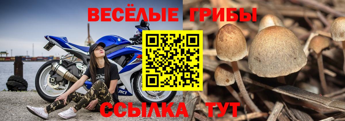 наркошоп  Псилоцибиновые грибы ЛСД  Вход с VPN  Семёнов 